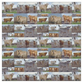 Highland Koeien in een fotocollage, Stof (Swatch)