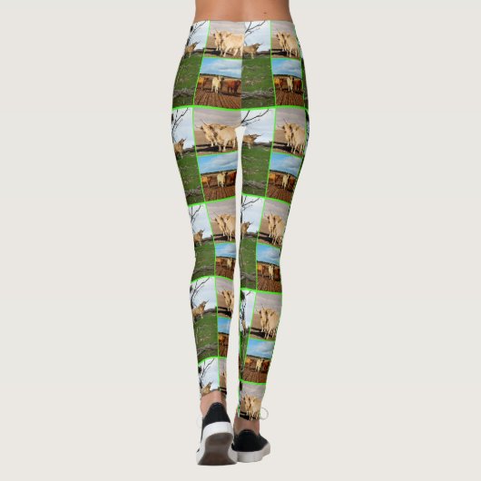 Highland Koeien Photo Collage Leggings (Achterkant)