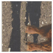 Highland Koeien Photo Collage Stof (Close Up)