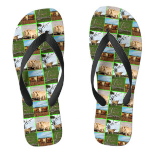 Highland Koeien Photo Collage Teenslippers