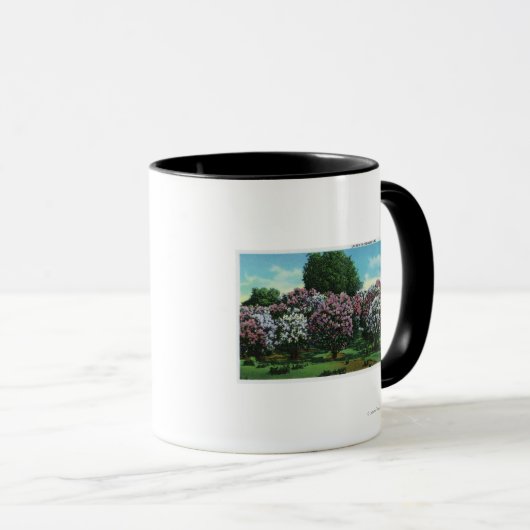 Highland Park Lilacs in Bloom Mok (Voorkant rechts)