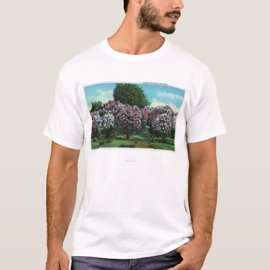 Highland Park Lilacs in Bloom T-shirt (Voorkant)