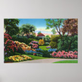 Highland Park Rhododendrons in Bloom Poster (Voorkant)