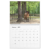 Highland Pony Agenda 2023 Kalender (Feb 2027)