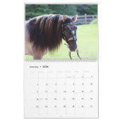 Highland Pony Agenda 2023 Kalender (Jan 2026)