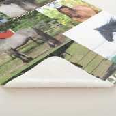 Highland Pony Deken (3/4)