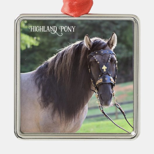 Highland Pony Ornament (Voorkant)