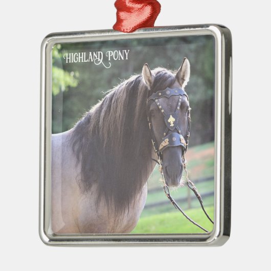 Highland Pony Ornament (Links)