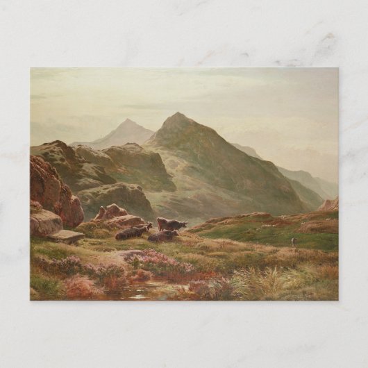 Highland scène briefkaart (Voorkant)