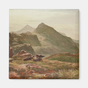 Highland scene magneet