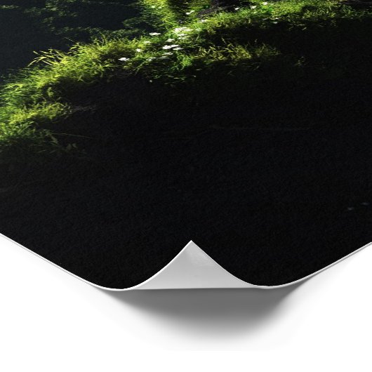 Highland Spring Poster (Hoek)