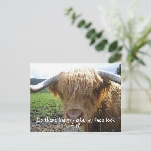 Highland Steer Funny Briefkaart (Staand voorkant)