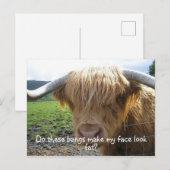 Highland Steer Funny Briefkaart (Voorkant / Achterkant)