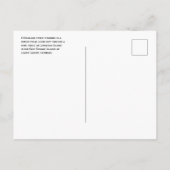 Highland Steer, Langeoog Island, Frisian Islands Briefkaart (Achterkant)