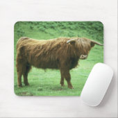 Highland Steer, Mull-eiland, Inner Muismat (Met muis)