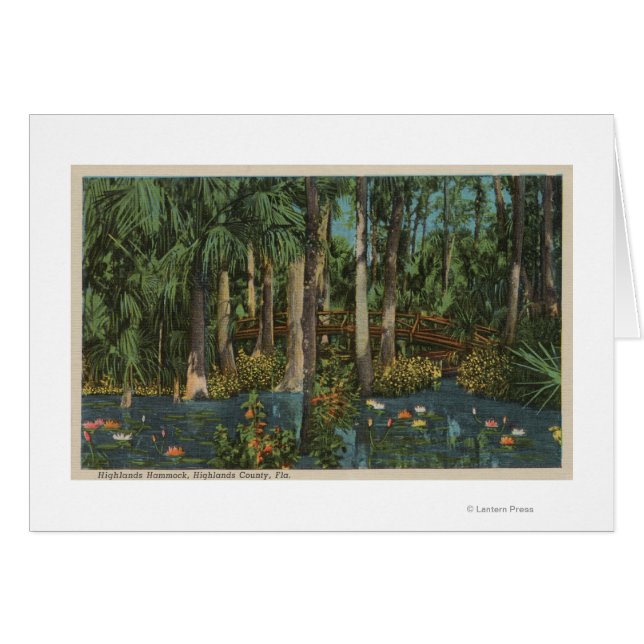 Highlands County, FL - Uitzicht van Highlands Hamm (Voorkant Horizontaal)