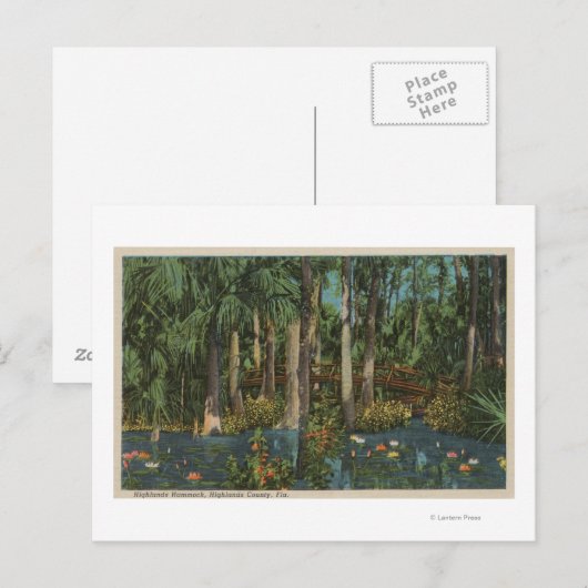Highlands County, FL - Uitzicht van Highlands Hamm Briefkaart (Voorkant / Achterkant)