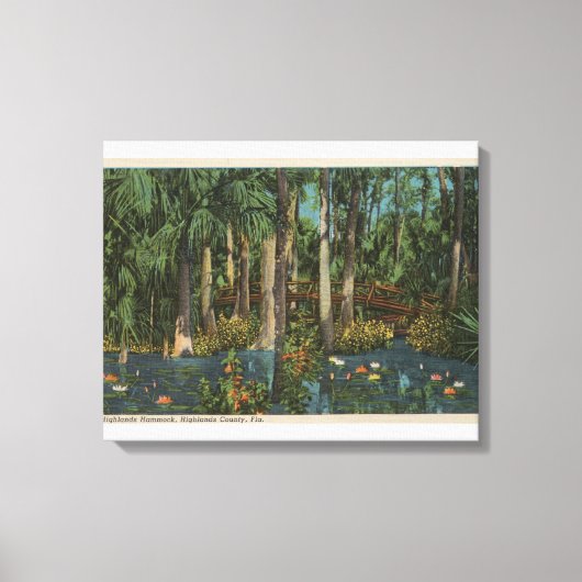 Highlands County, FL - Uitzicht van Highlands Hamm Canvas Afdruk (Voorkant)