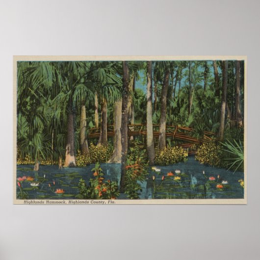 Highlands County, FL - Uitzicht van Highlands Hamm Poster (Voorkant)