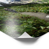Highline Trail - Nationaal Park Glacier Foto Afdruk (Hoek)