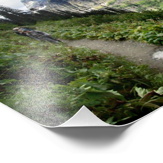 Highline Trail - Nationaal Park Glacier Foto Afdruk (Hoek)