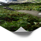 Highline Trail - Nationaal Park Glacier Poster (Hoek)
