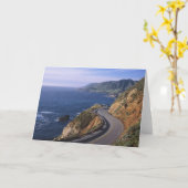 Highway 1 langs de Californische kust nabij Kaart (Gele Bloem)