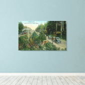 Highway Scene bij Amerikaans meer Canvas Afdruk (Insitu (Houten vloer))