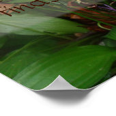 Hij die niet voor het gezegde poster kijkt (Hoek)