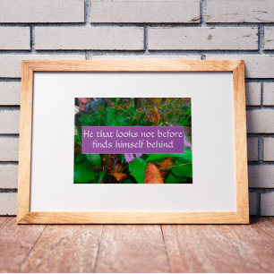 Hij die niet voor wijsheid gezegde kijkt poster