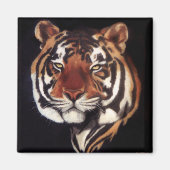 Hij die Regal is Magneet (Voorkant)