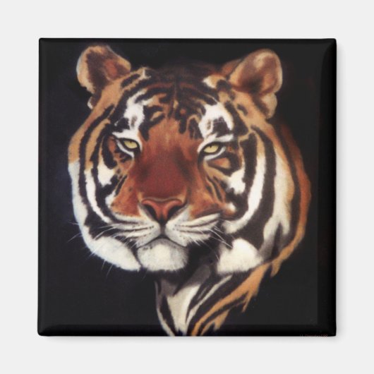 Hij die Regal is Magneet (Voorkant)