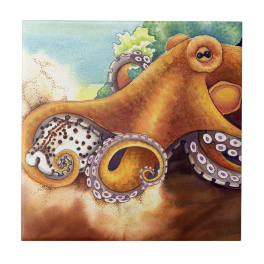 Hij en Cowry Tegeltje (Voorkant)