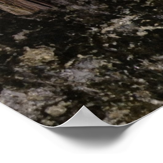 Hij heeft 3 ruige kruisingen gehad poster (Hoek)