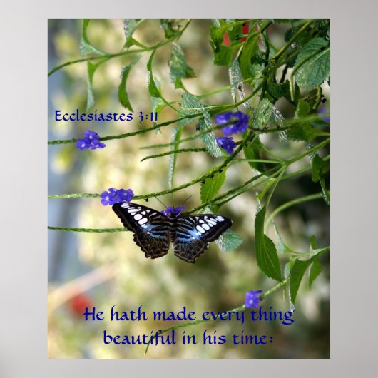 Hij heeft elk mooi Poster gemaakt (Voorkant)