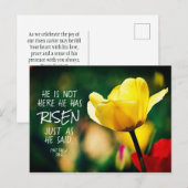 Hij heeft RISEN Bible Verse Tulips Paastijd Briefkaart (Voorkant / Achterkant)