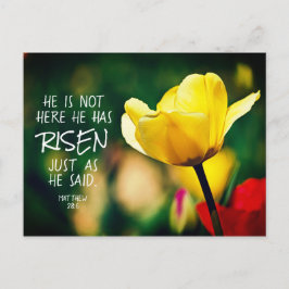 Hij heeft RISEN Bible Verse Tulips Paastijd Briefkaart