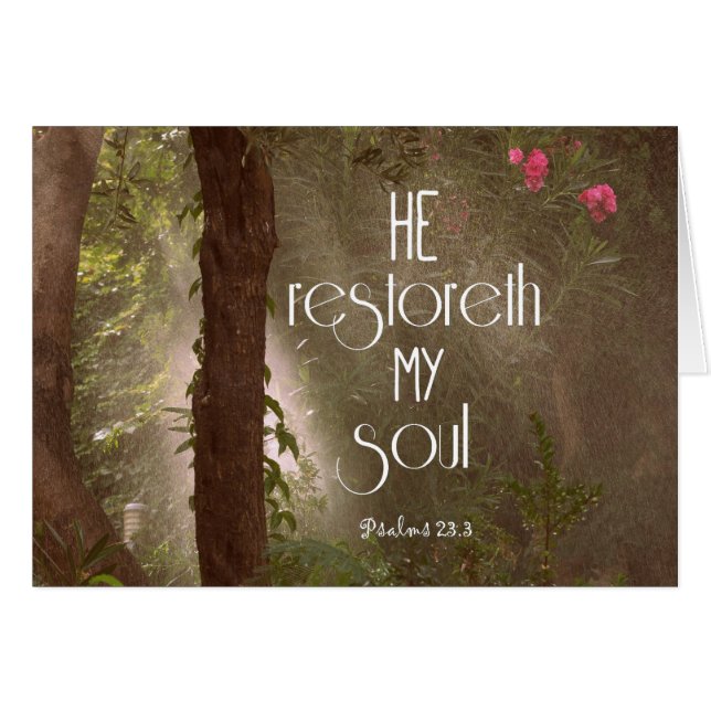 Hij herstelt mijn Soul Bible Verse (Voorkant Horizontaal)