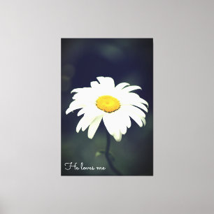 Hij houdt van me Daisy Canvas