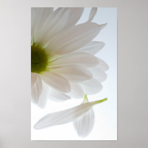 Hij Houdt van Me...Hij Houdt Niet van Me Poster