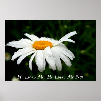 Hij houdt van mij, hij houdt van mij niet poster