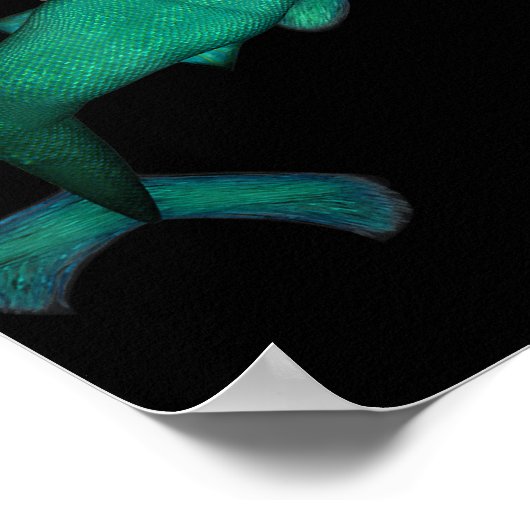 Hij is geen zeemeermin. Hij is een manmaïde Poster (Hoek)