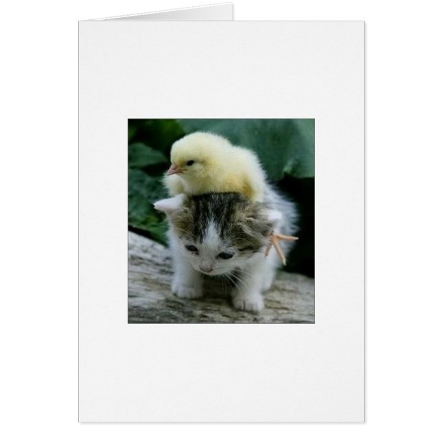 Hij is niet zwaar. Hij is mijn broer (Voorkant)