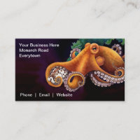 Hij is (octopus) met Cowry