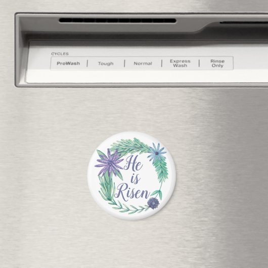 Hij is Religieuze paasgriep Magneet (Insitu (Vaatwasser))