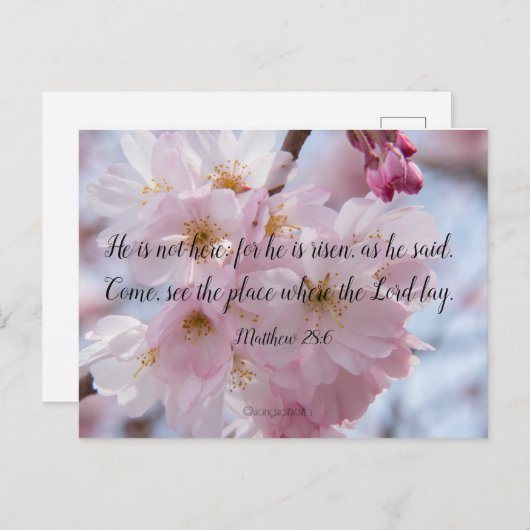 Hij is stijf! briefkaart (Voorkant / Achterkant)