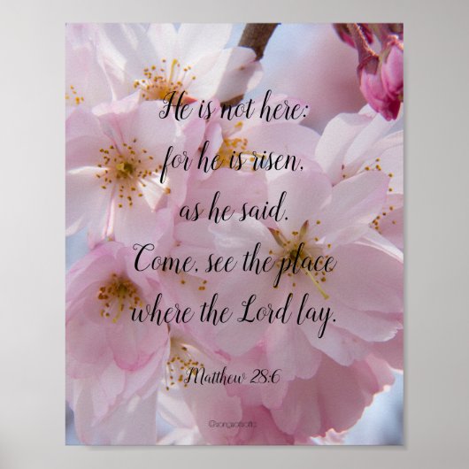 Hij is stijf! poster (Voorkant)