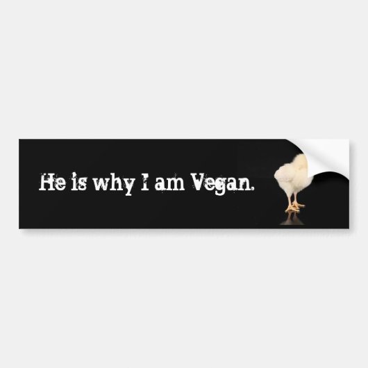 Hij is waarom ik vegan ben bumpersticker (Voorkant)
