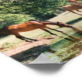 Hij leidt me naast de stilstaande wateren ... poster (Hoek)