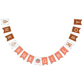 Hij meisje Geslacht laat bruin koraal zien Vlaggetjes